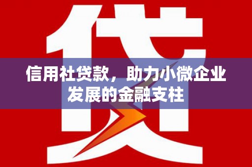 瑞芳信用社贷款，助力小微企业发展的金融支柱