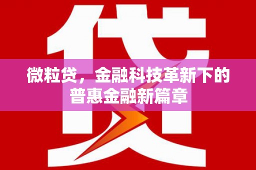 瑞芳微粒贷，金融科技革新下的普惠金融新篇章