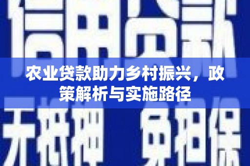 瑞芳农业贷款助力乡村振兴，政策解析与实施路径