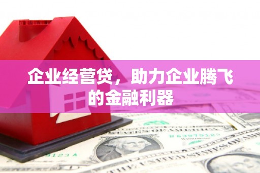 瑞芳企业经营贷，助力企业腾飞的金融利器