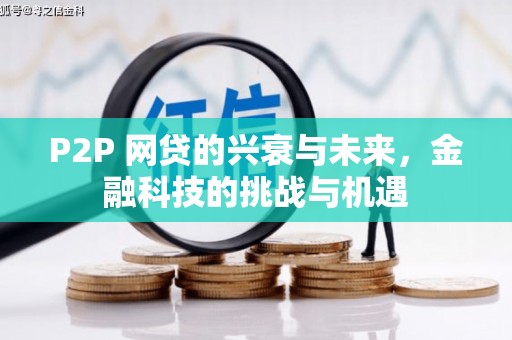瑞芳P2P 网贷的兴衰与未来，金融科技的挑战与机遇