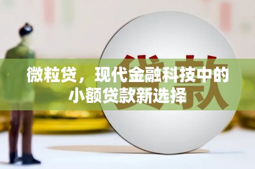 瑞芳微粒贷，现代金融科技中的小额贷款新选择
