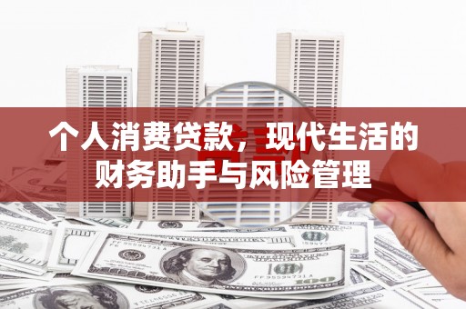 瑞芳个人消费贷款，现代生活的财务助手与风险管理