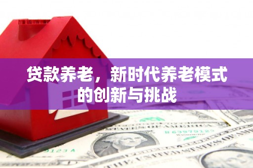 瑞芳贷款养老，新时代养老模式的创新与挑战