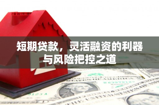 瑞芳短期贷款，灵活融资的利器与风险把控之道