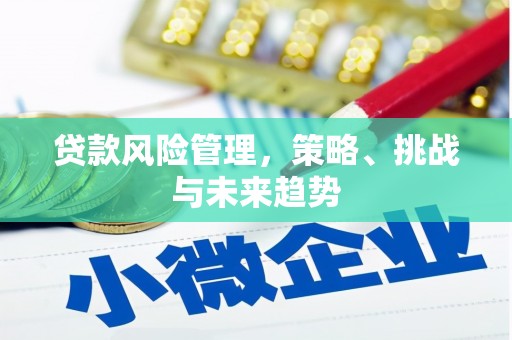 瑞芳贷款风险管理，策略、挑战与未来趋势