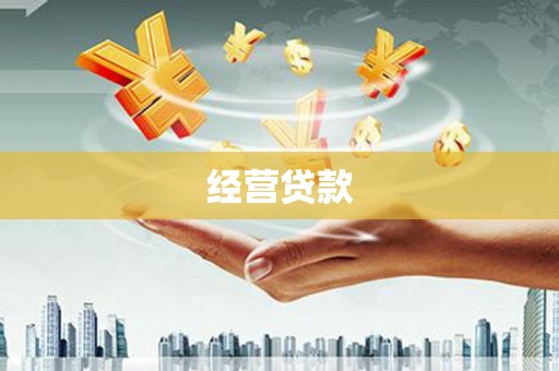 瑞芳经营贷款