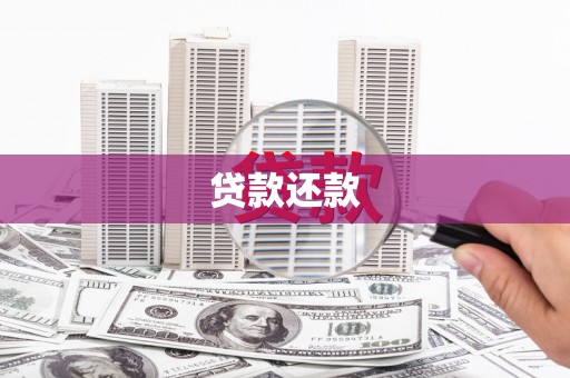 瑞芳贷款还款