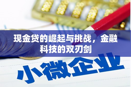 瑞芳现金贷的崛起与挑战，金融科技的双刃剑