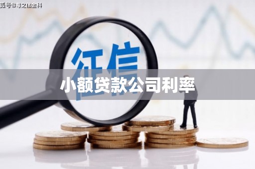 瑞芳小额贷款公司利率