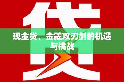 瑞芳现金贷，金融双刃剑的机遇与挑战
