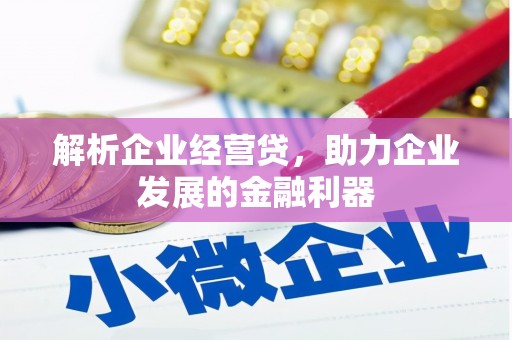 瑞芳解析企业经营贷，助力企业发展的金融利器
