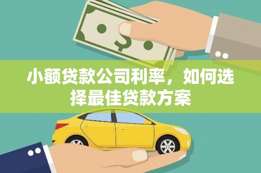 瑞芳小额贷款公司利率，如何选择最佳贷款方案