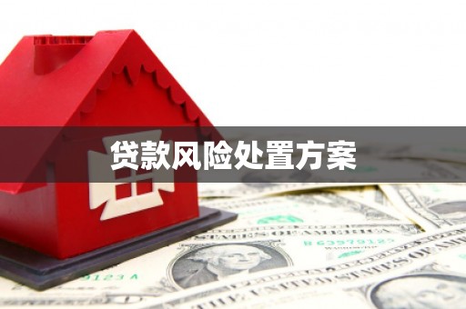 瑞芳贷款风险处置方案