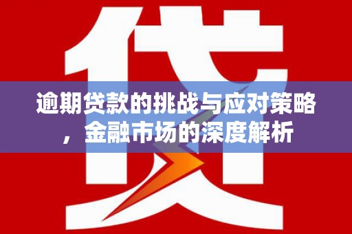 瑞芳逾期贷款的挑战与应对策略，金融市场的深度解析