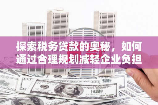 瑞芳探索税务贷款的奥秘，如何通过合理规划减轻企业负担