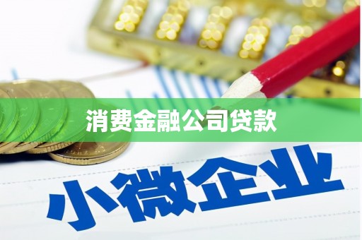 瑞芳消费金融公司贷款