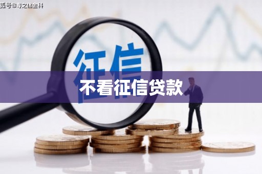 瑞芳不看征信贷款
