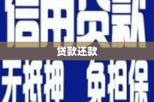 瑞芳贷款还款