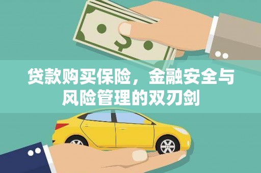 瑞芳贷款购买保险，金融安全与风险管理的双刃剑