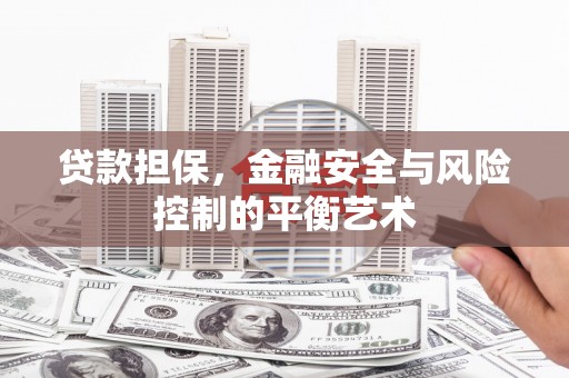 瑞芳贷款担保，金融安全与风险控制的平衡艺术