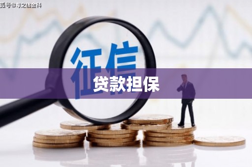 瑞芳贷款担保