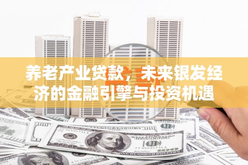 瑞芳养老产业贷款，未来银发经济的金融引擎与投资机遇