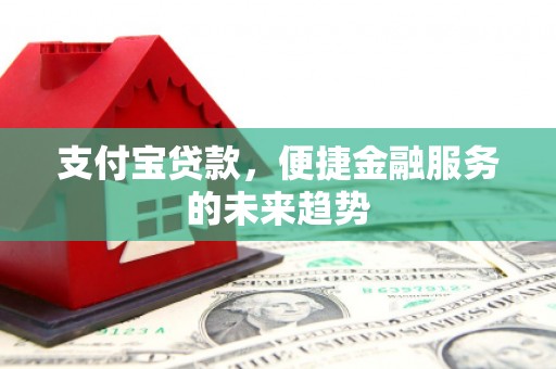 瑞芳支付宝贷款，便捷金融服务的未来趋势