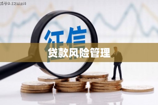 瑞芳贷款风险管理