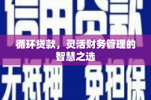 瑞芳循环贷款，灵活财务管理的智慧之选