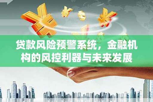 瑞芳贷款风险预警系统，金融机构的风控利器与未来发展