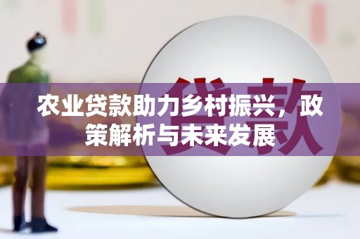 瑞芳农业贷款助力乡村振兴，政策解析与未来发展
