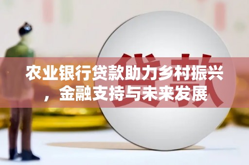 瑞芳农业银行贷款助力乡村振兴，金融支持与未来发展