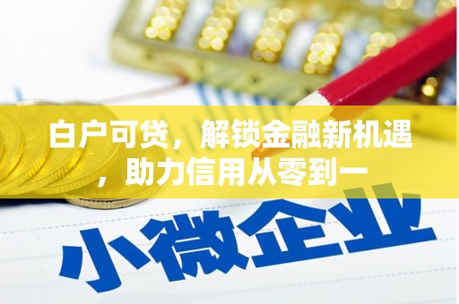 瑞芳白户可贷，解锁金融新机遇，助力信用从零到一