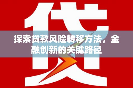 瑞芳探索贷款风险转移方法，金融创新的关键路径