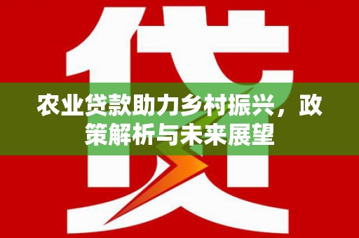 瑞芳农业贷款助力乡村振兴，政策解析与未来展望