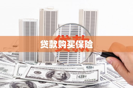 瑞芳贷款购买保险