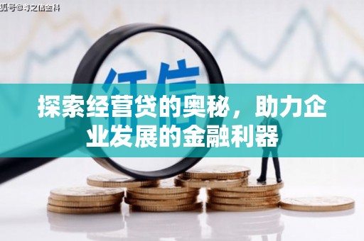 瑞芳探索经营贷的奥秘，助力企业发展的金融利器