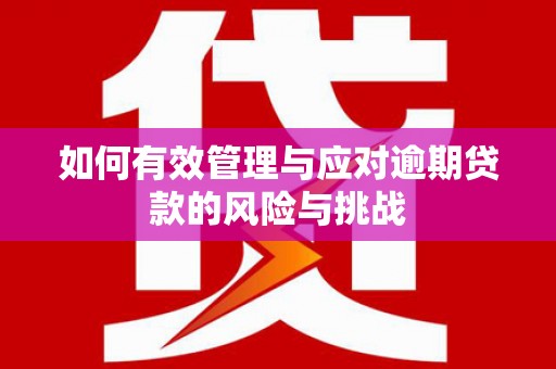 瑞芳如何有效管理与应对逾期贷款的风险与挑战