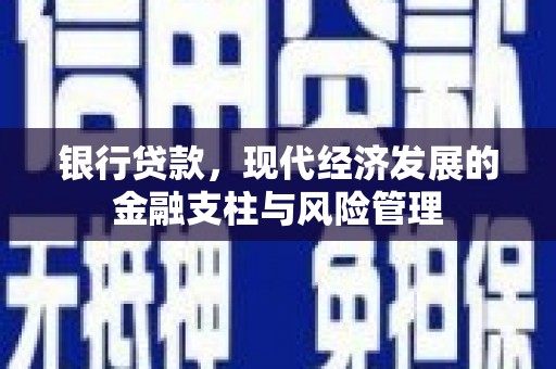 瑞芳银行贷款，现代经济发展的金融支柱与风险管理