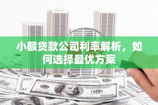 瑞芳小额贷款公司利率解析，如何选择最优方案