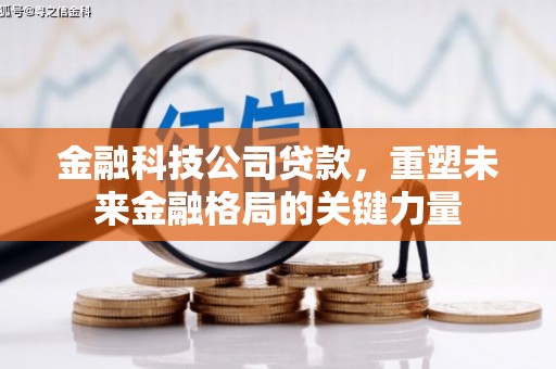 瑞芳金融科技公司贷款，重塑未来金融格局的关键力量