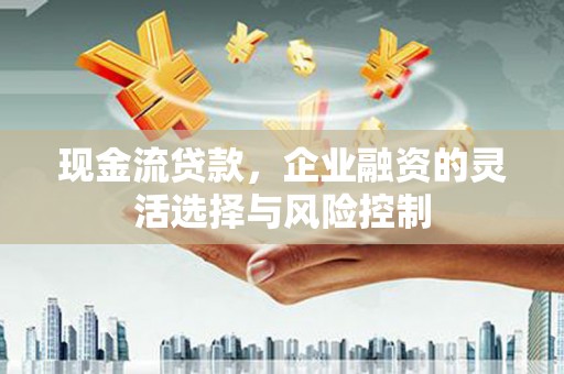 瑞芳现金流贷款，企业融资的灵活选择与风险控制