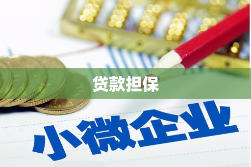 瑞芳贷款担保