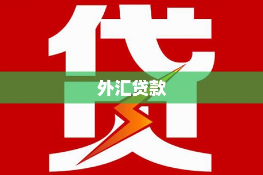 瑞芳外汇贷款