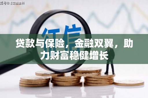 瑞芳贷款与保险，金融双翼，助力财富稳健增长