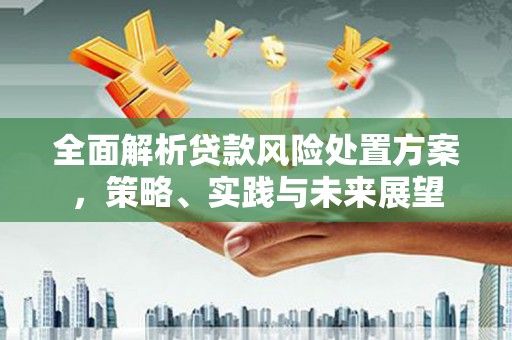 瑞芳全面解析贷款风险处置方案，策略、实践与未来展望