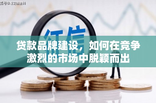 瑞芳贷款品牌建设，如何在竞争激烈的市场中脱颖而出