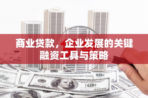 瑞芳商业贷款，企业发展的关键融资工具与策略