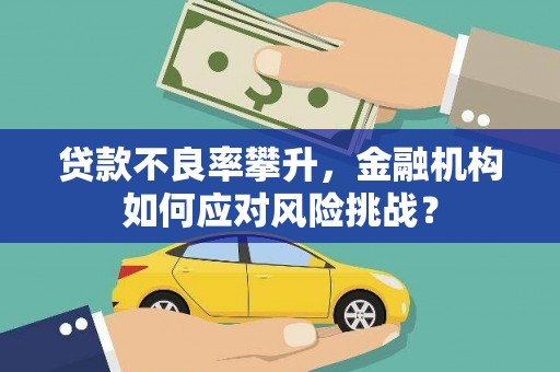 瑞芳贷款不良率攀升，金融机构如何应对风险挑战？